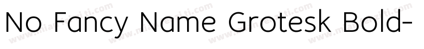 No Fancy Name Grotesk Bold字体转换